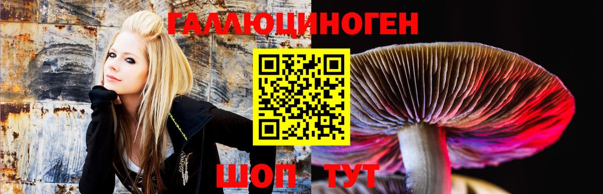 Псилоцибиновые грибы Cubensis  где найти   Вход с VPN  Славянск-на-Кубани  Галлюциногенные грибы Psilocybine cubensis 