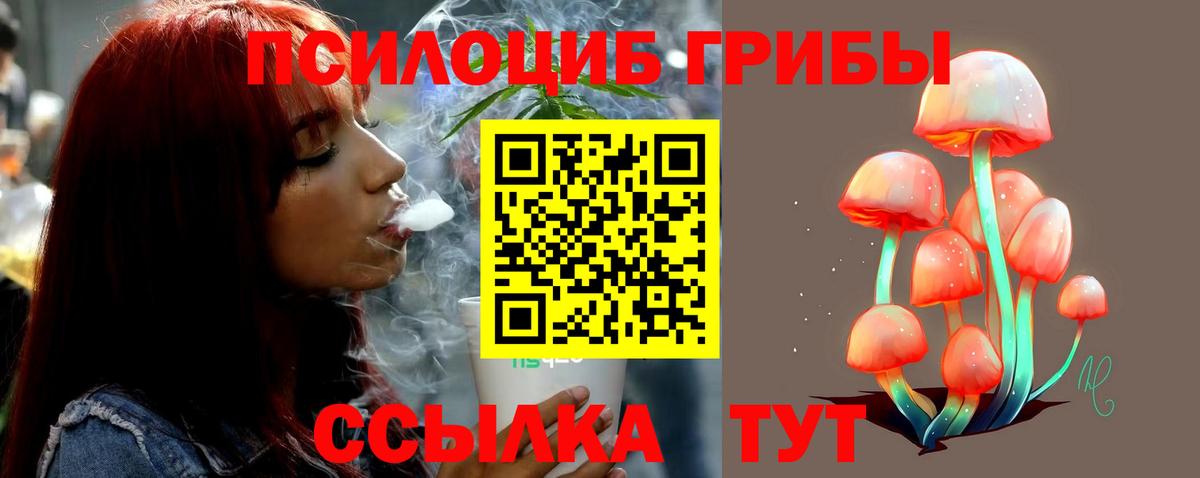 Псилоцибиновые грибы Psilocybe Славянск-на-Кубани